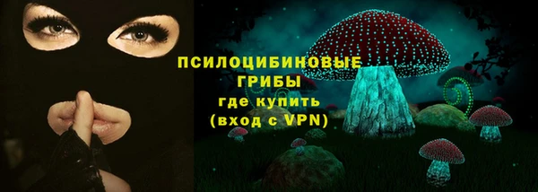 дмт Алзамай