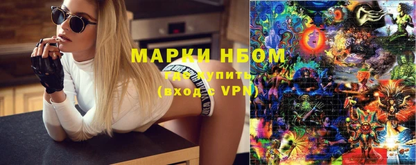 дмт Алзамай