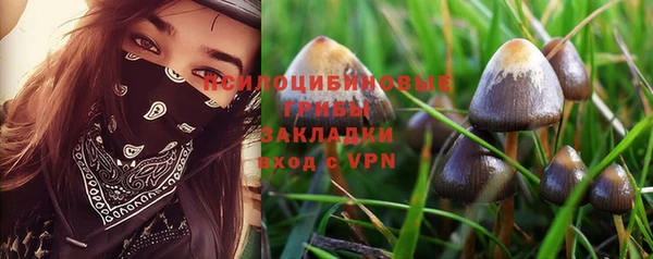 крисы Рославль